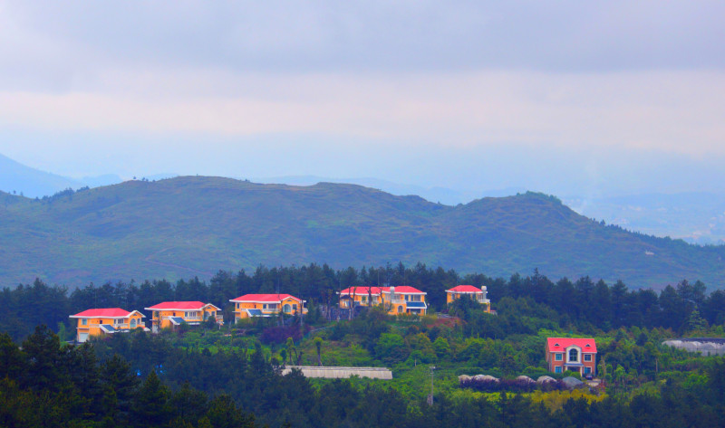 紫林山国家森林公园简介