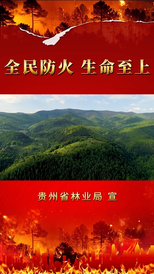 全民防火   生命至上