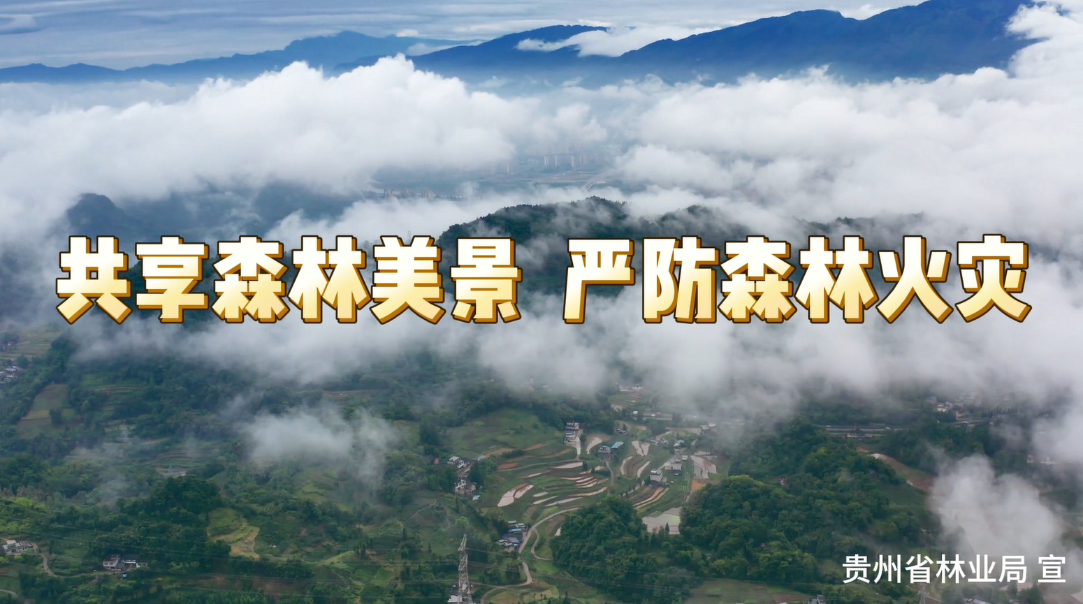 共享森林美景   严防森林火灾