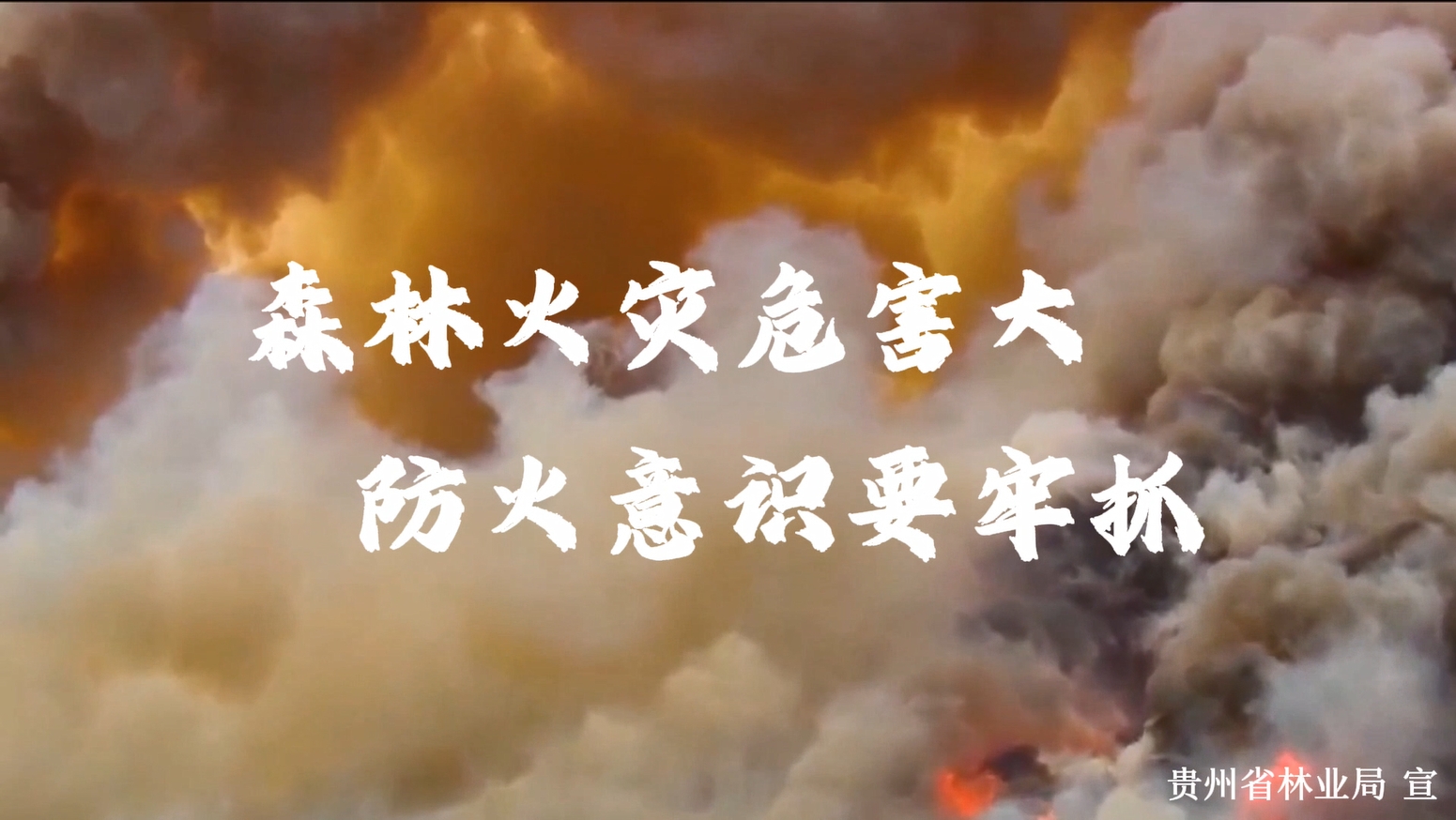 森林火灾危害大  防火意识要牢抓
